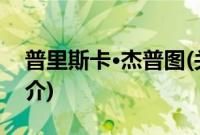 普里斯卡·杰普图(关于普里斯卡·杰普图的简介)