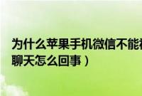 为什么苹果手机微信不能视频聊天（苹果手机微信不能视频聊天怎么回事）