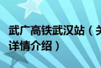 武广高铁武汉站（关于武广高铁武汉站的基本详情介绍）