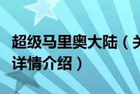 超级马里奥大陆（关于超级马里奥大陆的基本详情介绍）