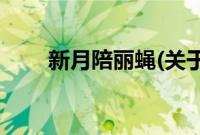 新月陪丽蝇(关于新月陪丽蝇的简介)