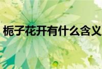 栀子花开有什么含义（栀子花开有什么寓意）