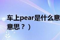 车上pear是什么意思译（车内按键pear什么意思？）