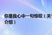 你是我心中一句惊叹（关于你是我心中一句惊叹的基本详情介绍）