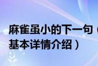 麻雀虽小的下一句（关于麻雀虽小的下一句的基本详情介绍）