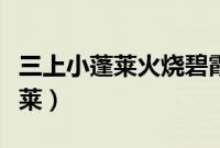 三上小蓬莱火烧碧霞宫评书单田芳（三上小蓬莱）