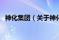 神化集团（关于神化集团的基本详情介绍）