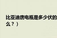 比亚迪唐电瓶是多少伏的?（比亚迪唐燃油版电瓶型号是什么？）