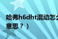 哈弗h6dht混动怎么样（dht混动技术是什么意思？）