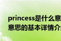 princess是什么意思（关于princess是什么意思的基本详情介绍）