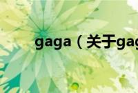 gaga（关于gaga的基本详情介绍）