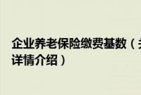 企业养老保险缴费基数（关于企业养老保险缴费基数的基本详情介绍）