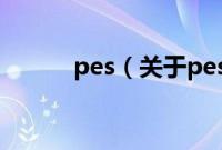 pes（关于pes的基本详情介绍）