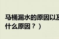 马桶漏水的原因以及处理办法（变速箱漏水是什么原因？）