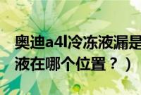 奥迪a4l冷冻液漏是什么原因（奥迪a4的冷冻液在哪个位置？）