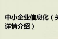 中小企业信息化（关于中小企业信息化的基本详情介绍）