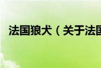 法国狼犬（关于法国狼犬的基本详情介绍）