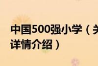 中国500强小学（关于中国500强小学的基本详情介绍）