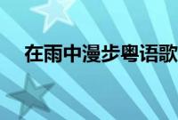 在雨中漫步粤语歌是什么（在雨中漫步）