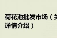 荷花池批发市场（关于荷花池批发市场的基本详情介绍）