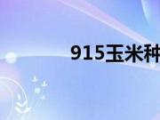 915玉米种简介（9158网站）