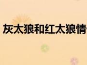 灰太狼和红太狼情侣头像（灰太狼和红太狼）