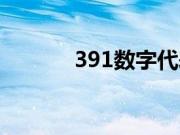 391数字代表什么意思（391）