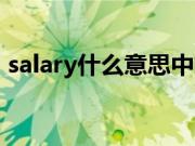 salary什么意思中文翻译（salary什么意思）