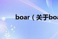 boar（关于boar的基本详情介绍）