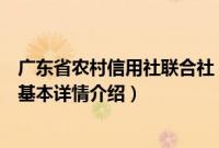 广东省农村信用社联合社（关于广东省农村信用社联合社的基本详情介绍）