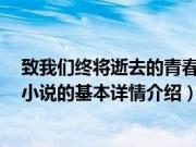 致我们终将逝去的青春 小说（关于致我们终将逝去的青春 小说的基本详情介绍）