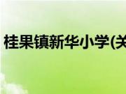 桂果镇新华小学(关于桂果镇新华小学的简介)