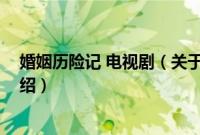 婚姻历险记 电视剧（关于婚姻历险记 电视剧的基本详情介绍）