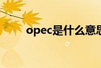 opec是什么意思（opec什么意思）