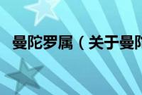 曼陀罗属（关于曼陀罗属的基本详情介绍）