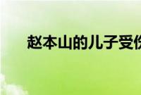 赵本山的儿子受伤住院（赵本山住院）