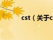 cst（关于cst的基本详情介绍）