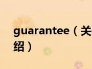 guarantee（关于guarantee的基本详情介绍）