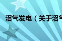 沼气发电（关于沼气发电的基本详情介绍）