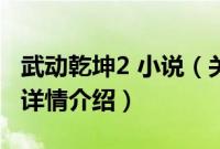 武动乾坤2 小说（关于武动乾坤2 小说的基本详情介绍）