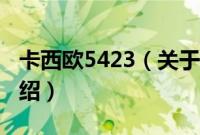 卡西欧5423（关于卡西欧5423的基本详情介绍）