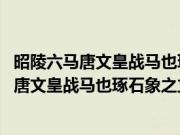 昭陵六马唐文皇战马也琢石象之立昭陵前客有(关于昭陵六马唐文皇战马也琢石象之立昭陵前客有的简介)