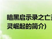 暗黑启示录之亡灵崛起(关于暗黑启示录之亡灵崛起的简介)