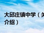 大邱庄镇中学（关于大邱庄镇中学的基本详情介绍）