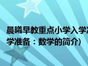 晨曦早教重点小学入学准备：数学(关于晨曦早教重点小学入学准备：数学的简介)