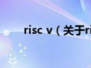 risc v（关于risc v的基本详情介绍）