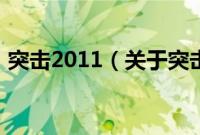 突击2011（关于突击2011的基本详情介绍）