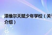 泽维尔天赋少年学校（关于泽维尔天赋少年学校的基本详情介绍）