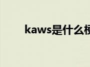 kaws是什么梗（kaws是什么意思）