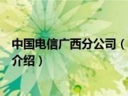 中国电信广西分公司（关于中国电信广西分公司的基本详情介绍）